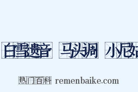 白雪遗音·马头调·小尼姑是什么意思的图片